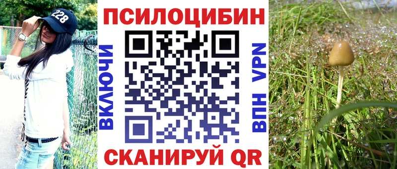 ссылка на мегу зеркало Черногорск Галлюциногенные грибы ЛСД как найти наркотики